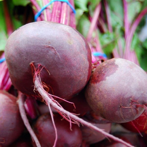 BEET