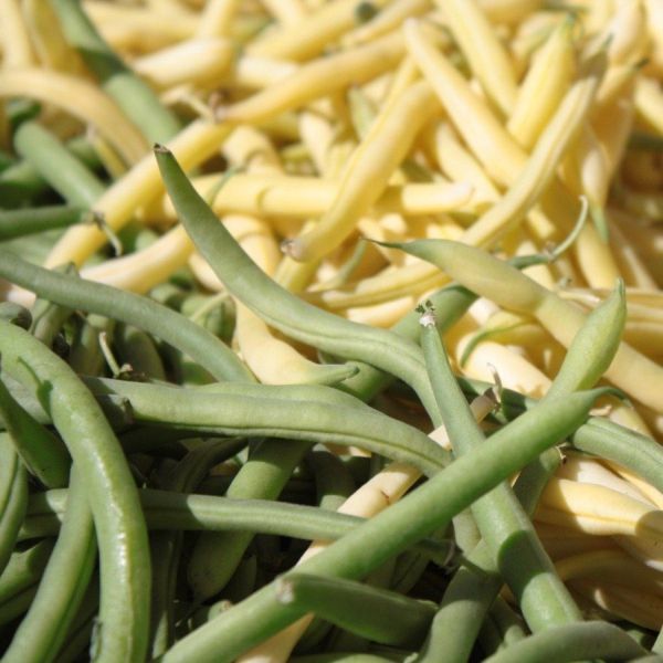 GREEN BEANS