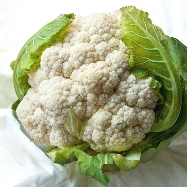 CAULIFLOWER