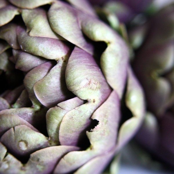 ARTICHOKES