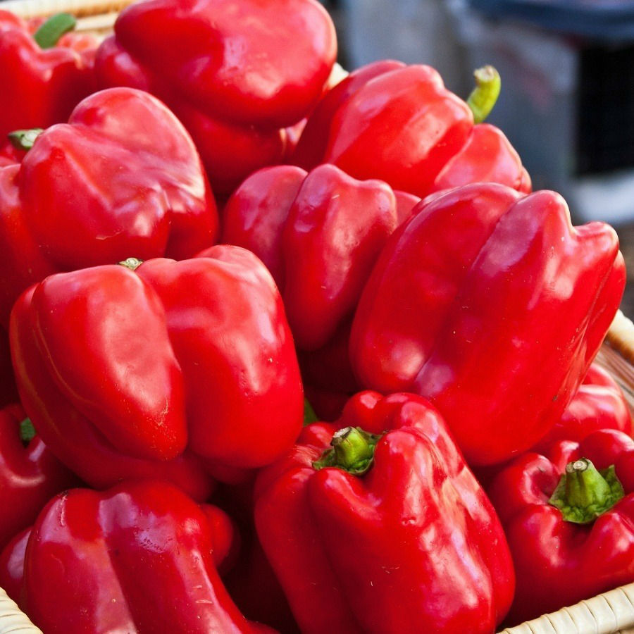 Bell pepper