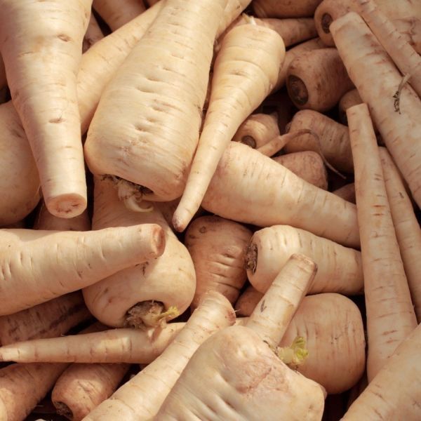 PARSNIP