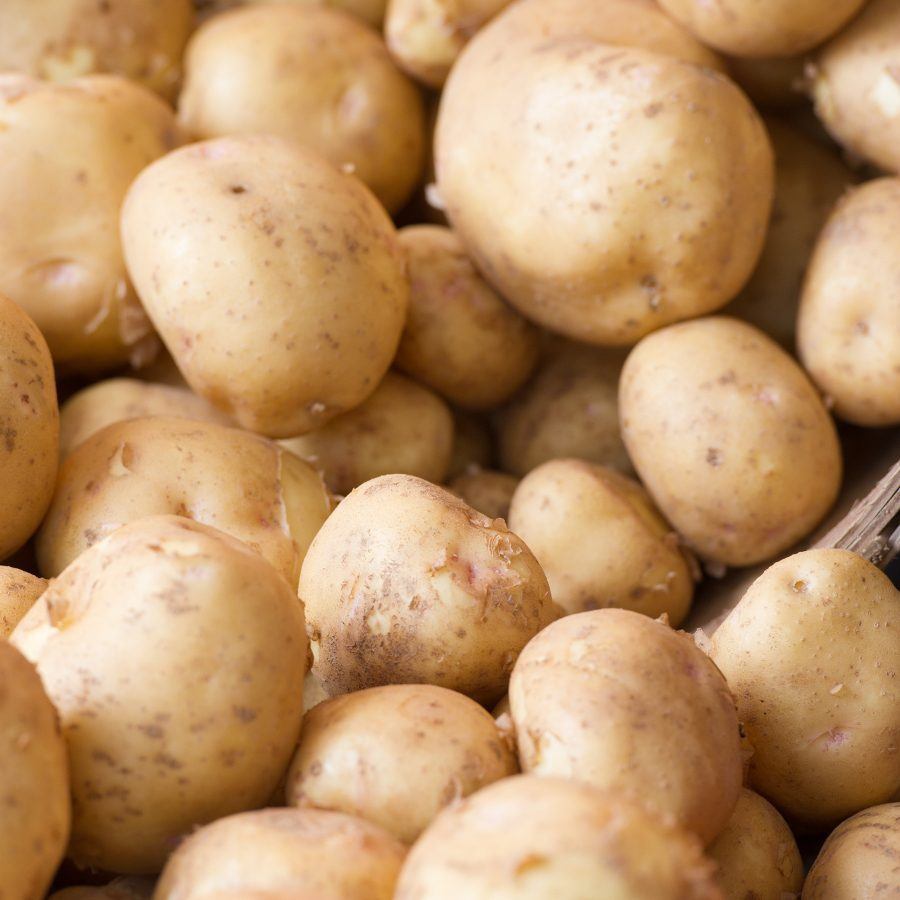 Boiled potatoes