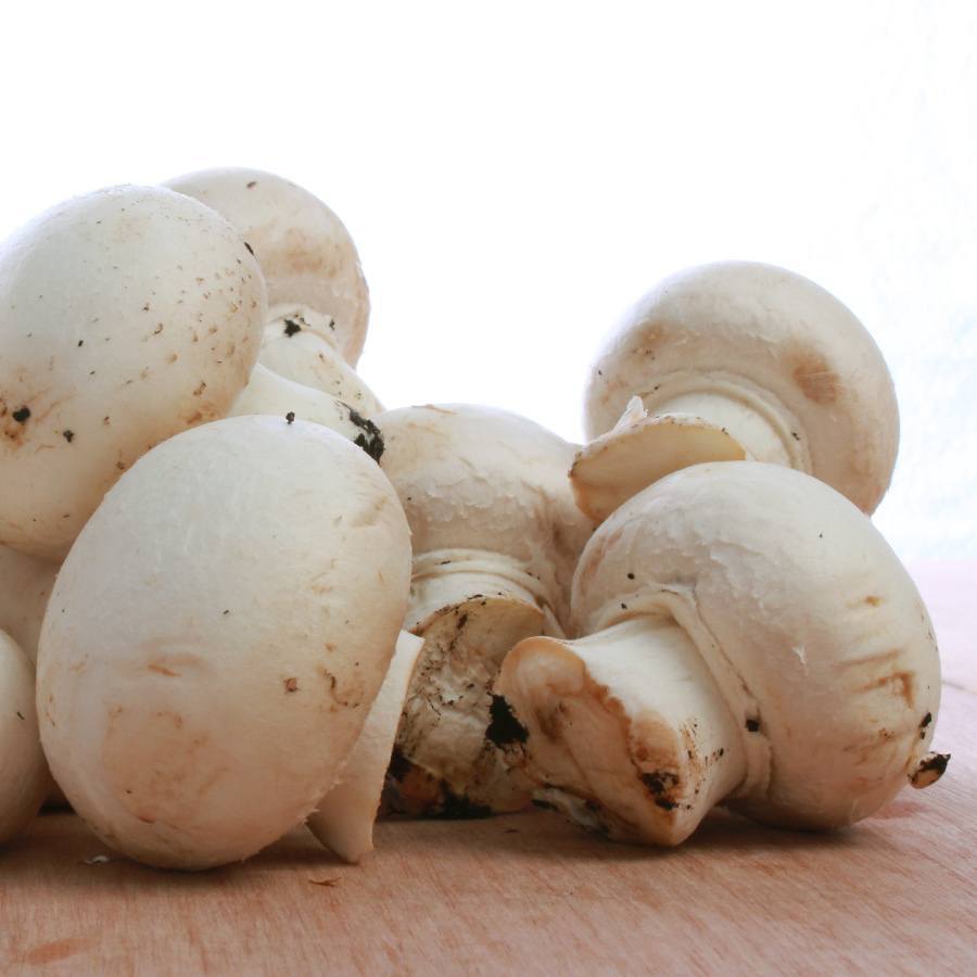 Button mushrooms