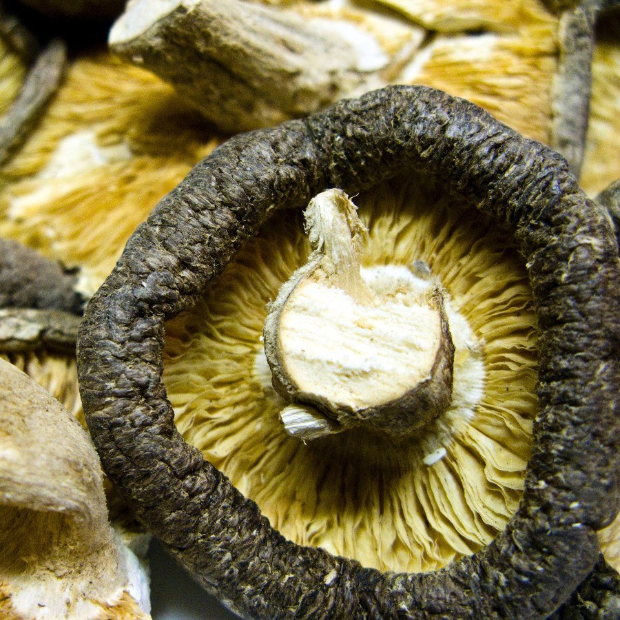 Dried mushrooms