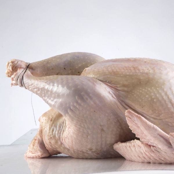 TURKEY
