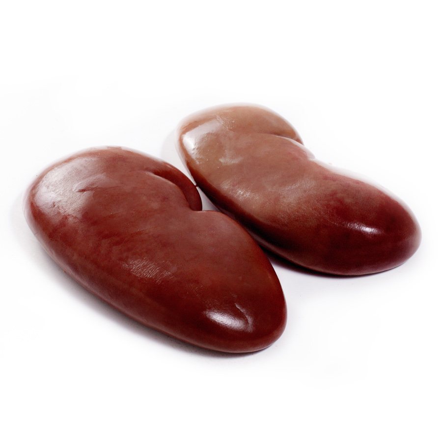 Pork kidneys