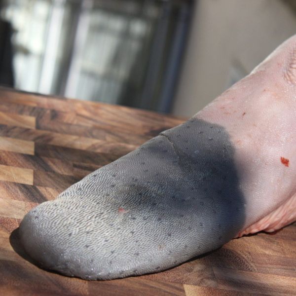 Image of BEEF TONGUE