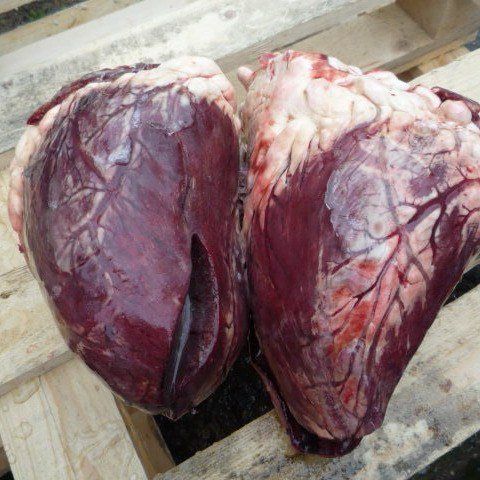 BEEF HEART