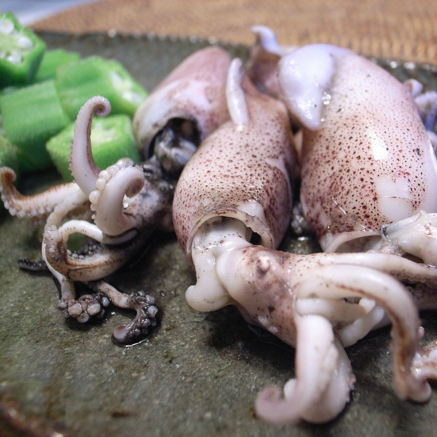 Squid dish