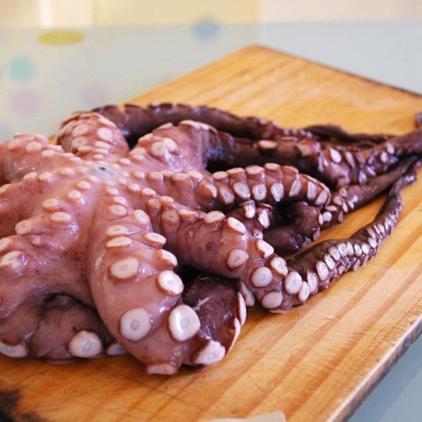 OCTOPUS