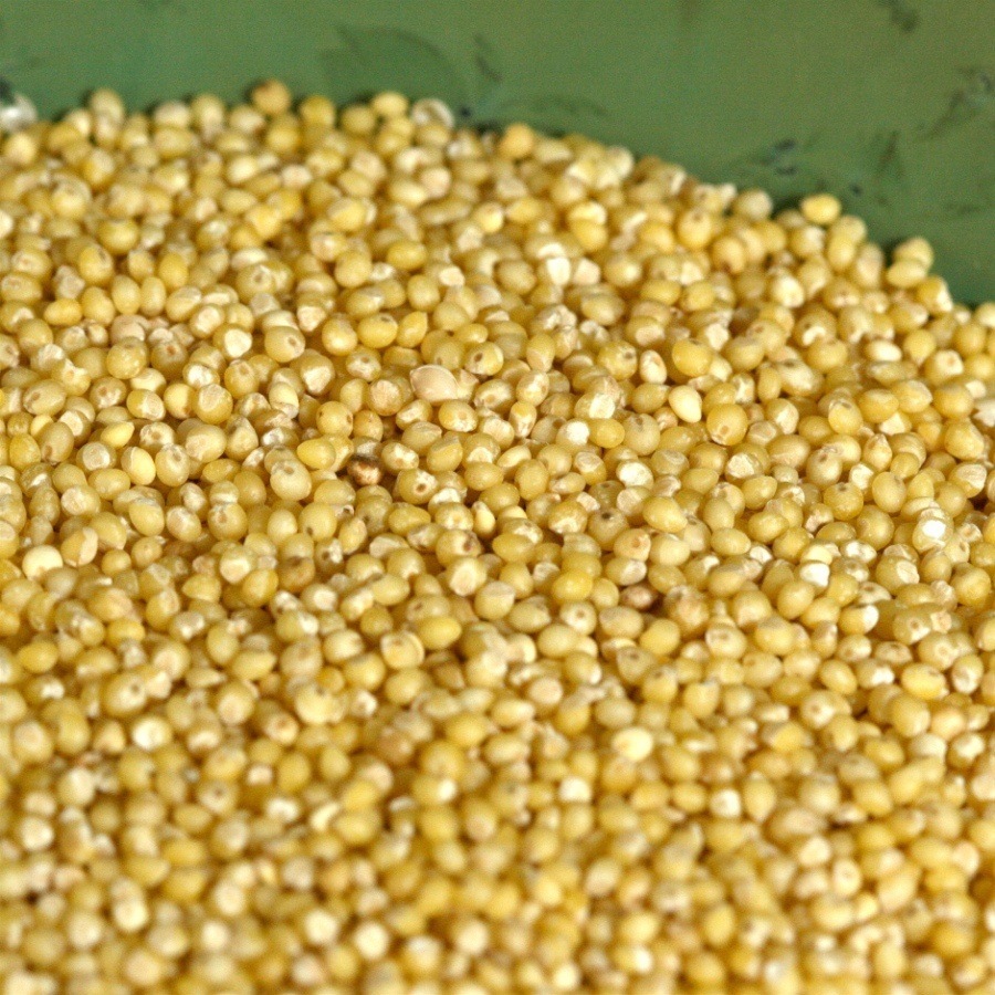 Millet dish