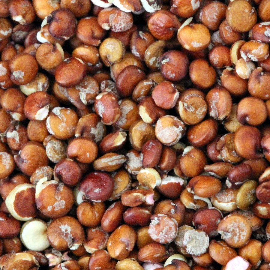 Quinoa dish