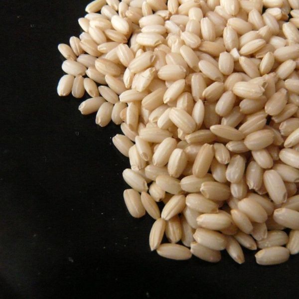 Sweet Brown rice