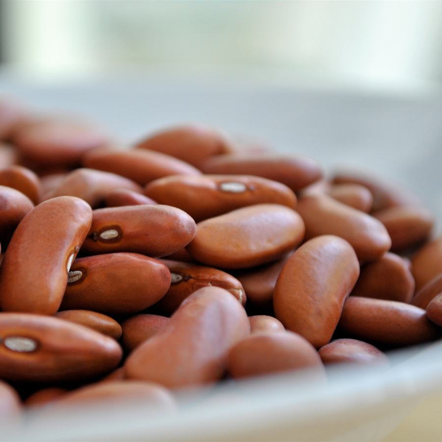 Beans