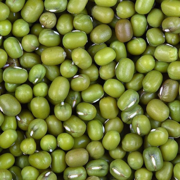 Photo of MUNG BEANS