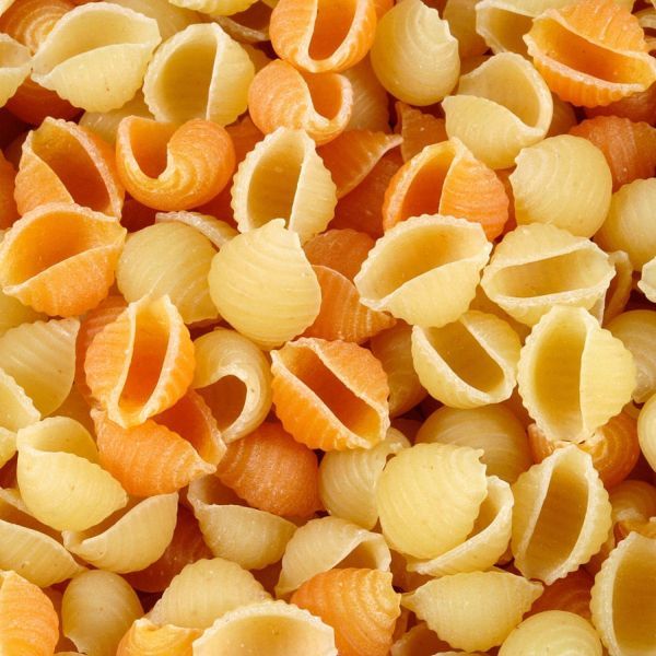 Conchiglie pasta